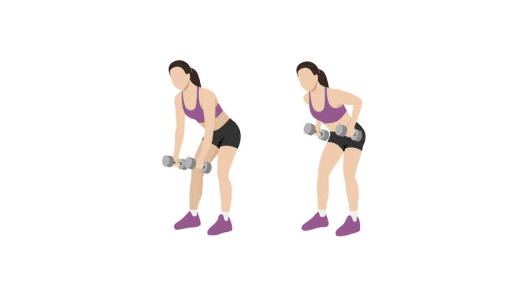 Bent-Over Rows exercise illustration