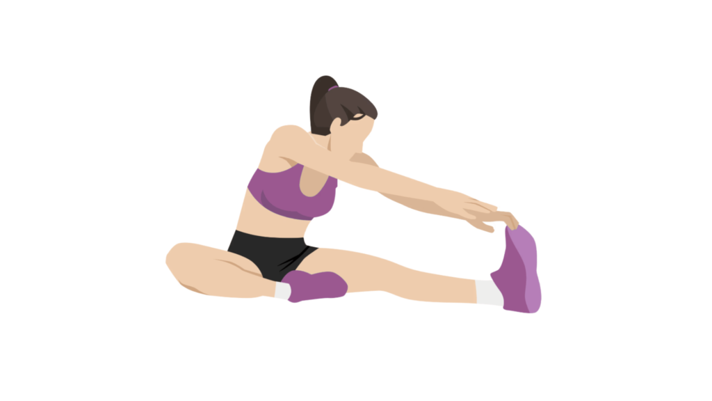 Hamstring Stretch illustration